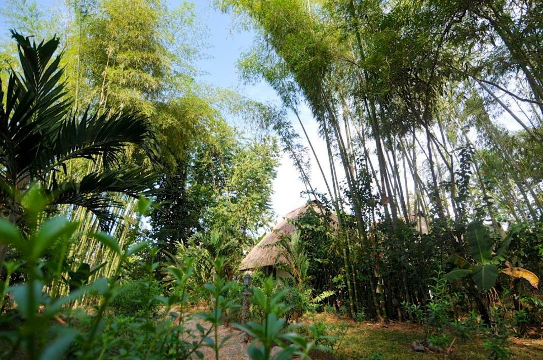 Naturalmente Boutique Bungalows Y Cocina Mediterranea Las Lajas Kültér fotó